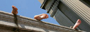 Students sun themselves on a ledge near the steps of Low Library.